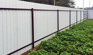�����: ����� �� �������������� ����������� C10 �� ���� �����