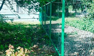 �����: ������� ����� �� ����� �� ������������� ������� �������